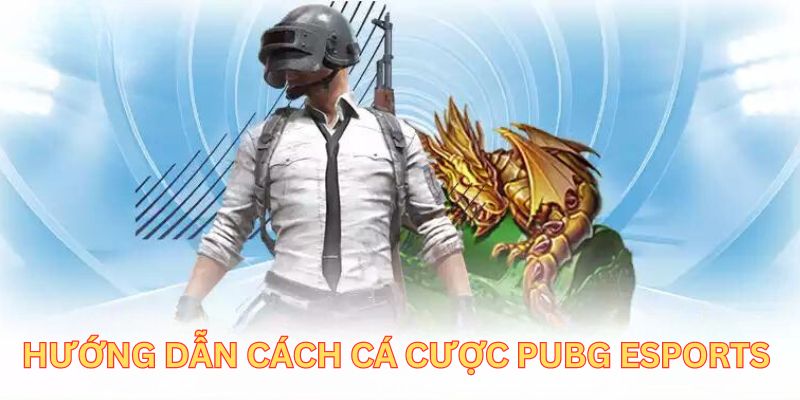 Hướng dẫn hội viên cách cá cược Pubg Esports