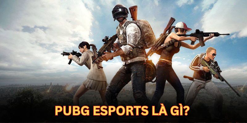 Khám phá đôi nét về hình thức cá cược Pubg Esports