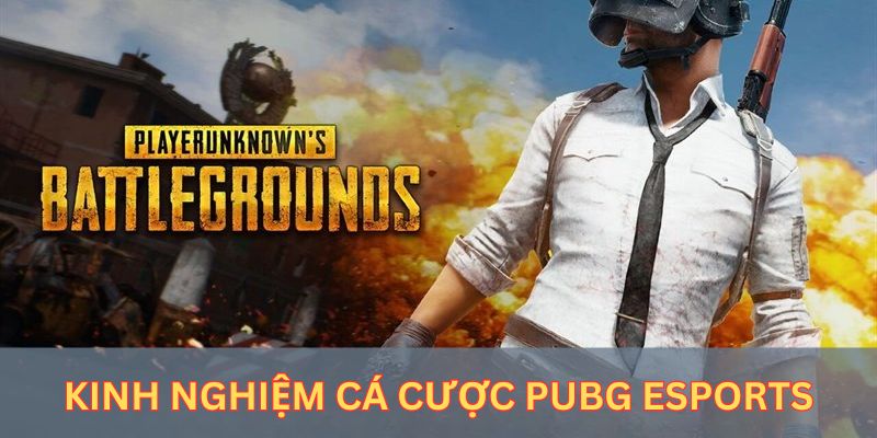 Tổng hợp kinh nghiệm cá cược Pubg Esports hiệu quả cho người chơi mới