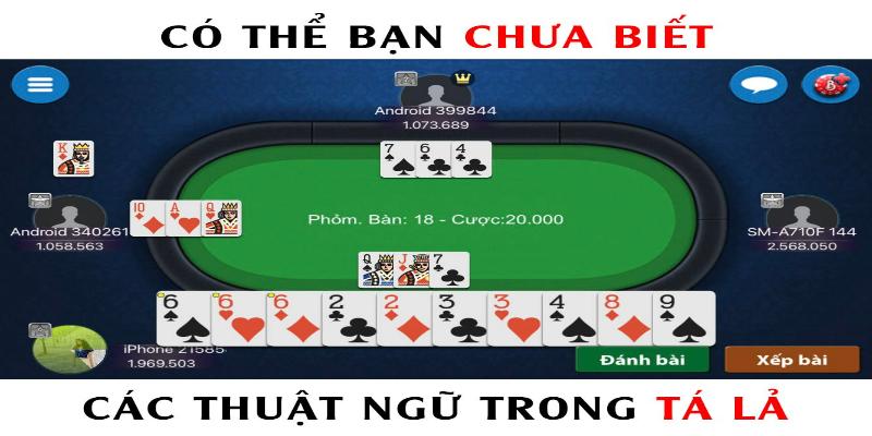 Thuật ngữ trong bài phỏm tá lả