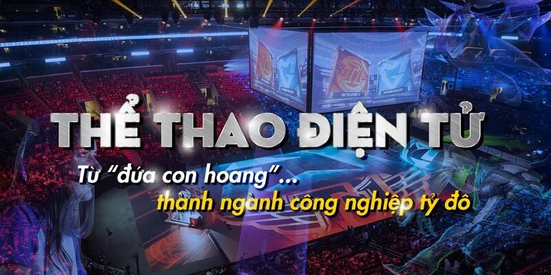 Top 4 trang cá cược esport hội tụ mọi đặc điểm ấn tượng