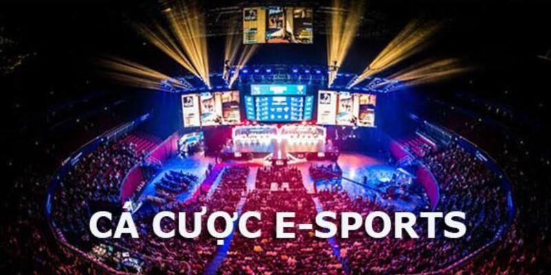 Trang cá cược esport đáng tin, đáng chơi, đáng để thử