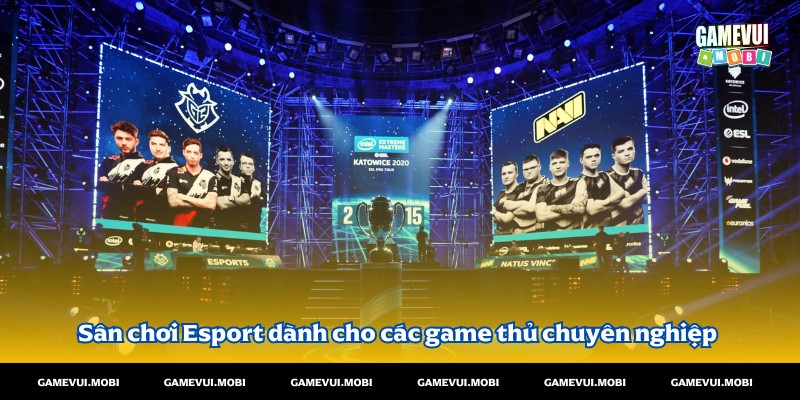 Sân chơi Esport dành cho các game thủ chuyên nghiệp tại game vui